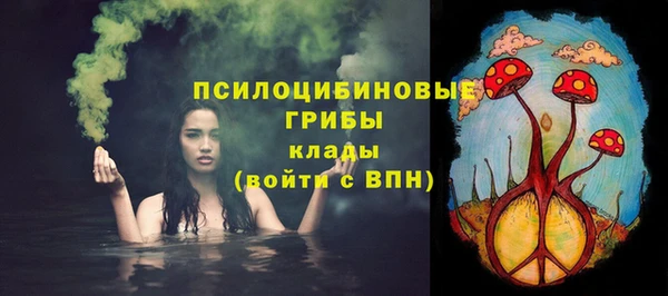 молекула духа Ельня