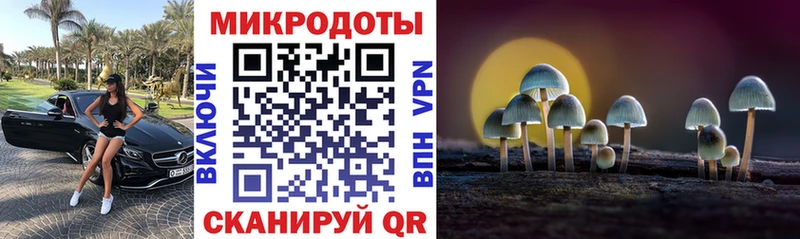 цена   Новошахтинск  Псилоцибиновые грибы GOLDEN TEACHER 